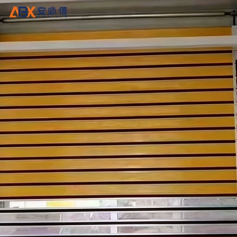 拉萨市感应高速门